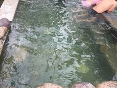 -花水湾第一村温泉大酒店