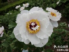 -燕郊植物园