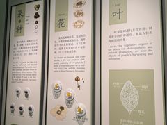 -中国茶叶博物馆(双峰馆区)