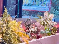 -凯达饺子城(燕山大街店)