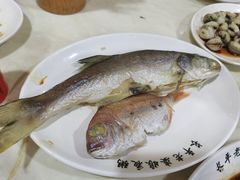 -长平老姿娘夜粥(平东一街店)