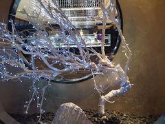 -红辣椒·川菜·火锅(张杨路店)