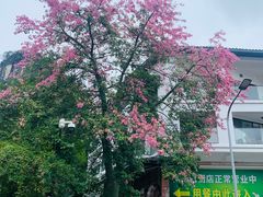 -瘦子桂林米粉店(总店)