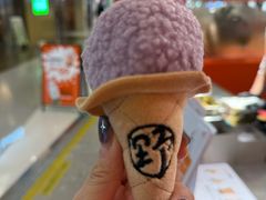 -野人先生现做冰淇淋(北京王府井东方新天地店)