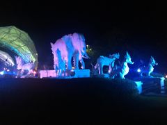 -清迈夜间动物园