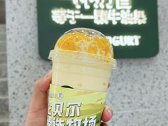 -茉酸奶(春熙路店)