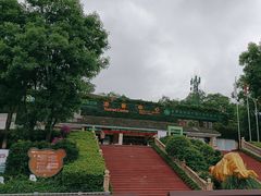 -碧峰峡风景区