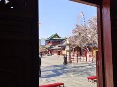 -天津大悲禅院