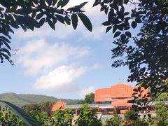 -大屏嶂森林公园