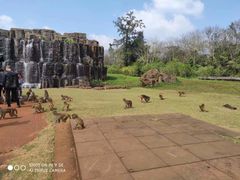 -海南热带野生动植物园
