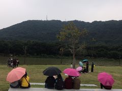 -艾米稻香小镇