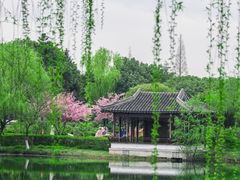-尚湖风景区