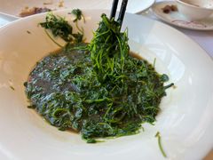 -圆苑(金茂店)