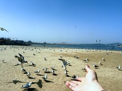 -八仙过海景区
