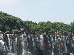 -东方绿舟景区