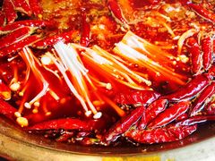 -小龙坎火锅(总店)