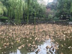-孝子祠公园