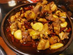 -志晖园圆子鸡·辣子鸡(阳光店)