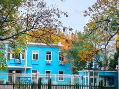 -三里屯东五街银杏大道