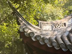 -汇龙潭