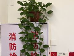 -郑远元专业修脚房(昌里东路店)