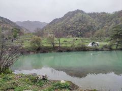 -狮子沟牧场