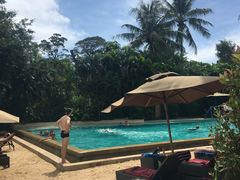 -椰树岛海滩度假村