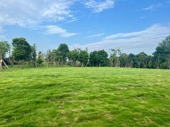 -两河城市森林公园