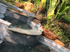 -清远熹乐谷温泉度假酒店