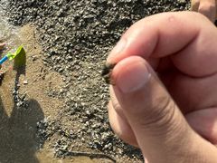 -白城沙滩