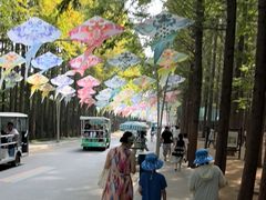 -日照海滨国家森林公园