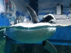 -石林冰雪海洋世界