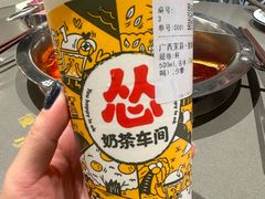 -岭南站NOVA