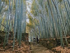 -会稽山峡洞漂流-上青古道