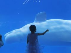 -海合安武汉极地海洋公园