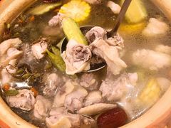 石橄榄炖鸡-洪大厨鸡煲(福田店)