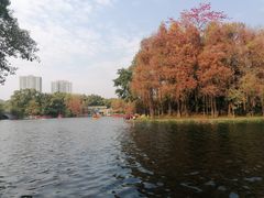 -荔湾湖公园