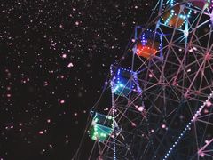 -巨鹏飞梦幻海岸