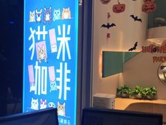 -飞行喵MR PILOT|猫舍·猫咖(静安大融城店)