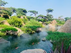 -罗红摄影艺术馆