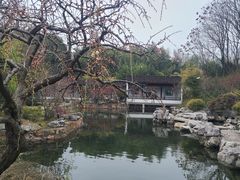 -上海滨江森林公园