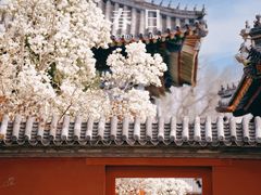 -北京艺术博物馆(万寿寺)