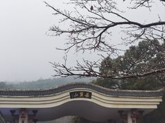 -岳麓山风景名胜区