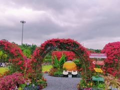 -莲花山公园