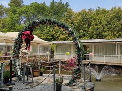 -芭厘农庄老字号·清远鸡