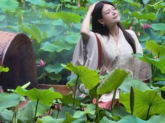 -花之城