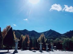 -龙口南山旅游景区