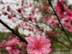 -重庆彩云湖湿地公园