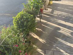 -StorHub 趣存自助仓·迷你仓(虹桥店)