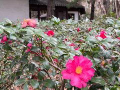 -汇龙潭